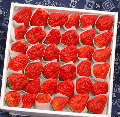 新鮮(xiān)水果用EPE珍珠棉(mián)包裝的好處有(yǒu)哪些？